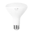 https://xlpled.com/images/BR30TS-main.png